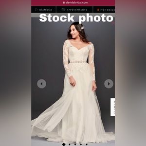 Never worn or altered ivory David’s Bridal Wedding dress/bag. Size 28W